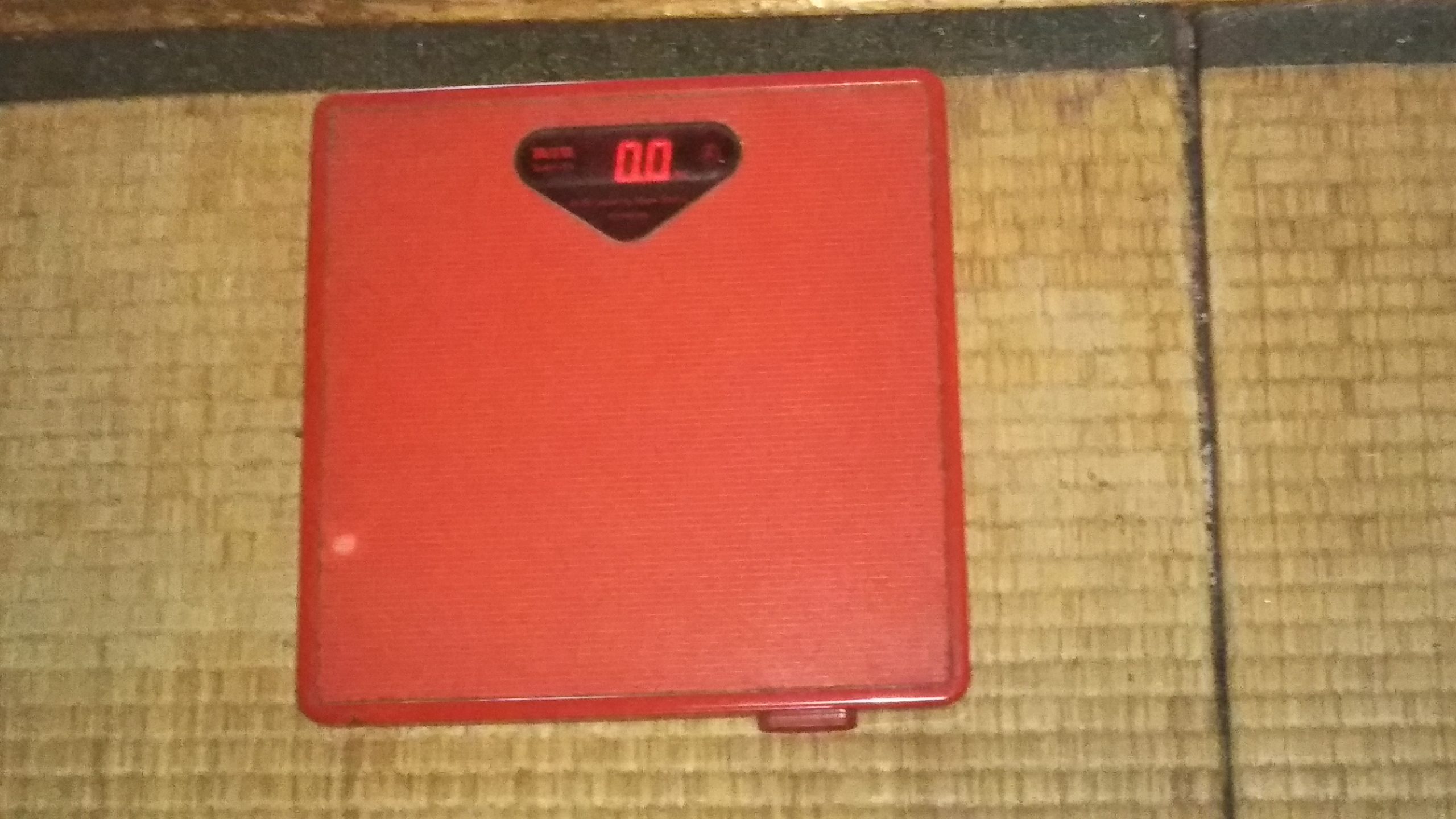 4학년 몸무게
